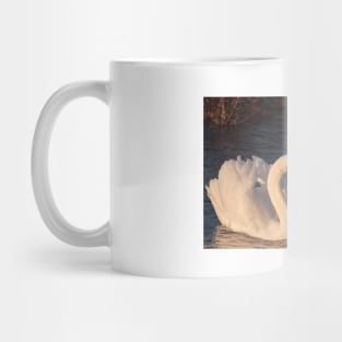 Swans Heart Mug